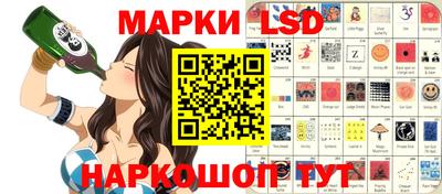гидропоника Жуковский