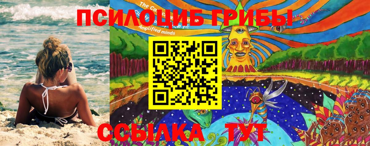Псилоцибиновые грибы Psilocybe  Вход с VPN  где найти наркотики  Каменск-Уральский 