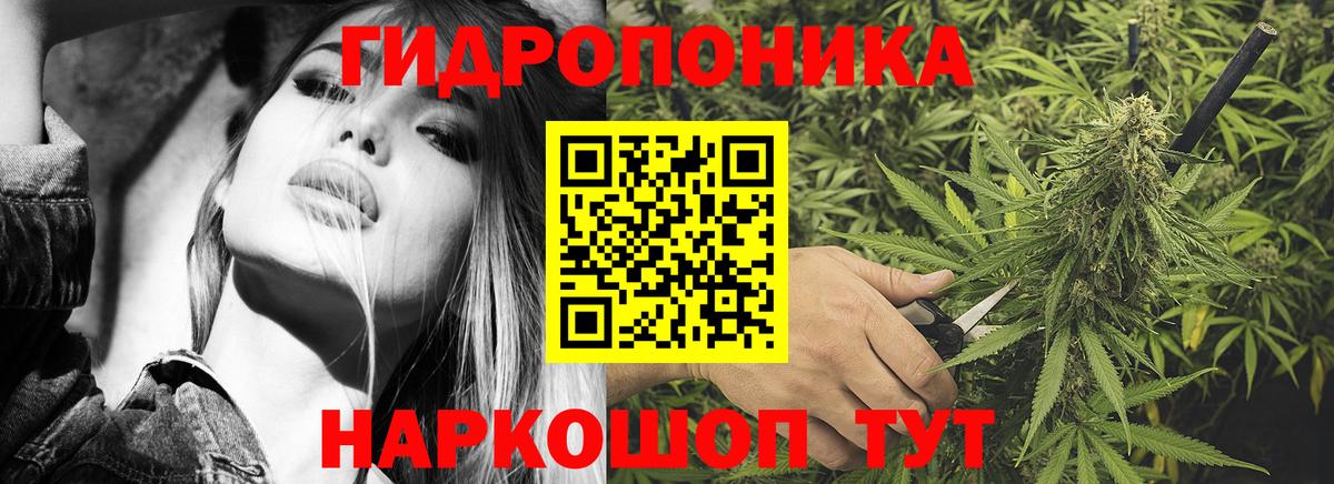 МАРИХУАНА семена Каменск-Уральский